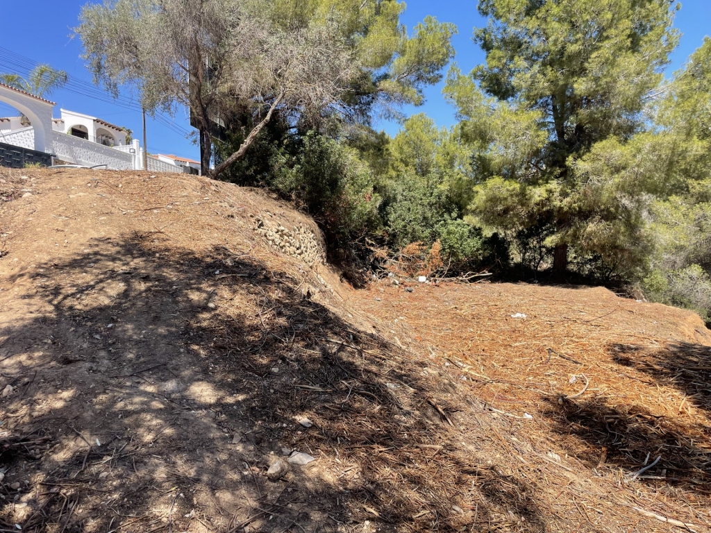 plot in Benissa