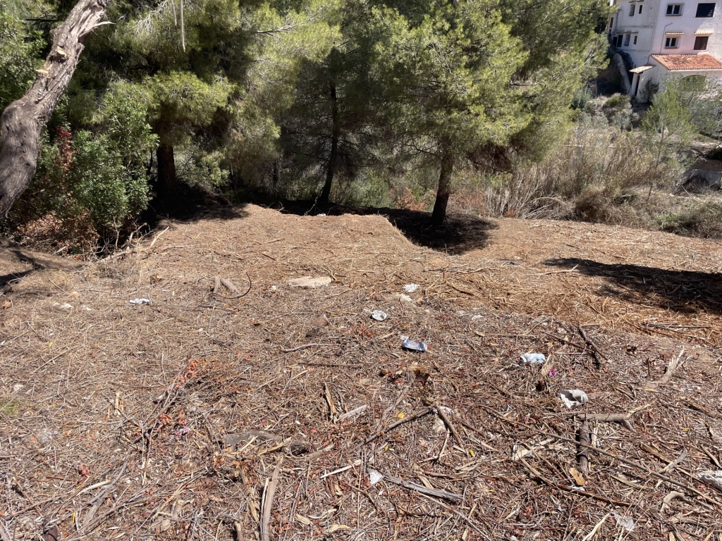 plot in Benissa
