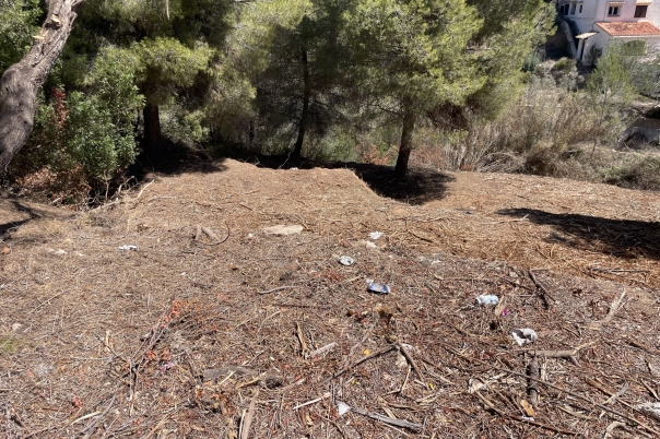 plot in Benissa