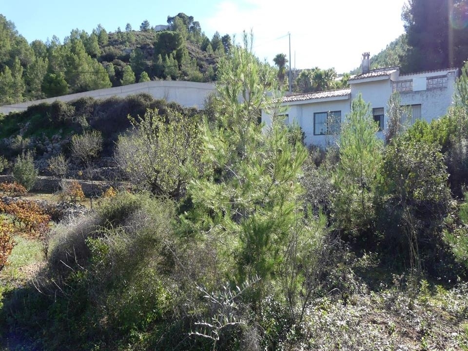 3 bed villa in Llíber