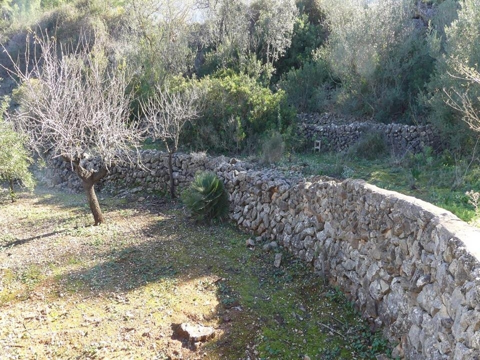 3 bed villa in Llíber