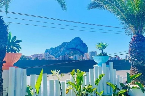 Havanas Beach Club - Bar, Restaurant & Event Venue Calpe