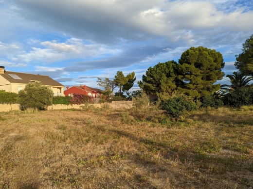 plot in Denia