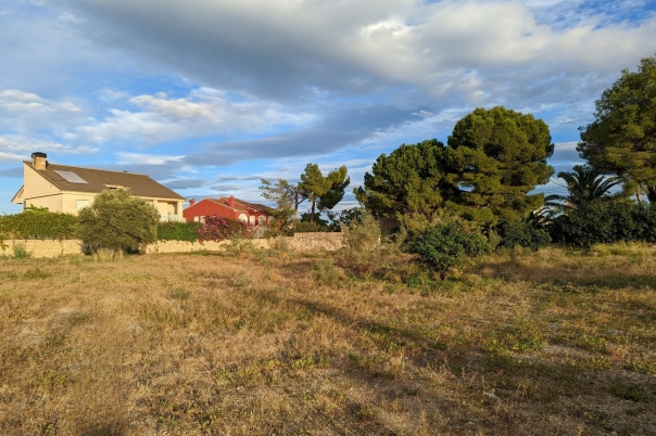 plot in Denia