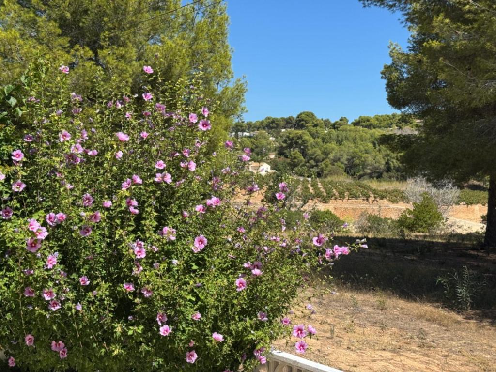2 bed bungalow in Moraira