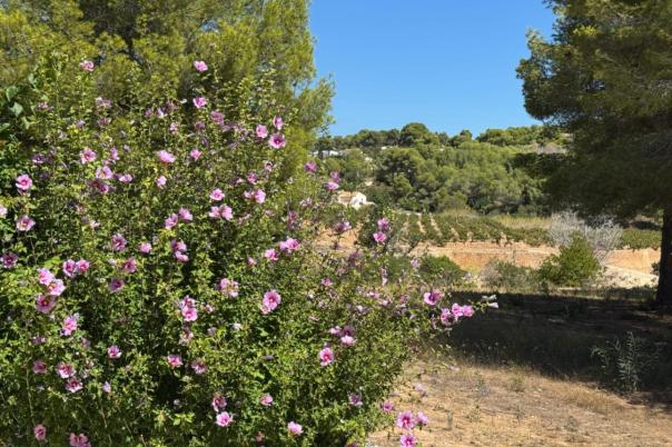 2 bed bungalow in Moraira