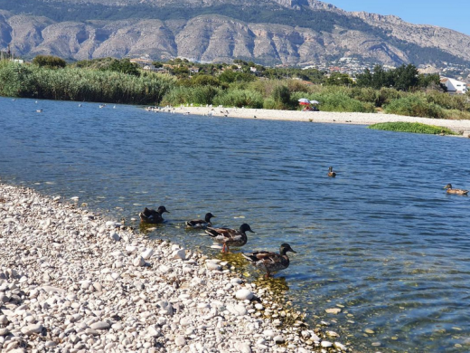 El Río Algar - Algar River Altea