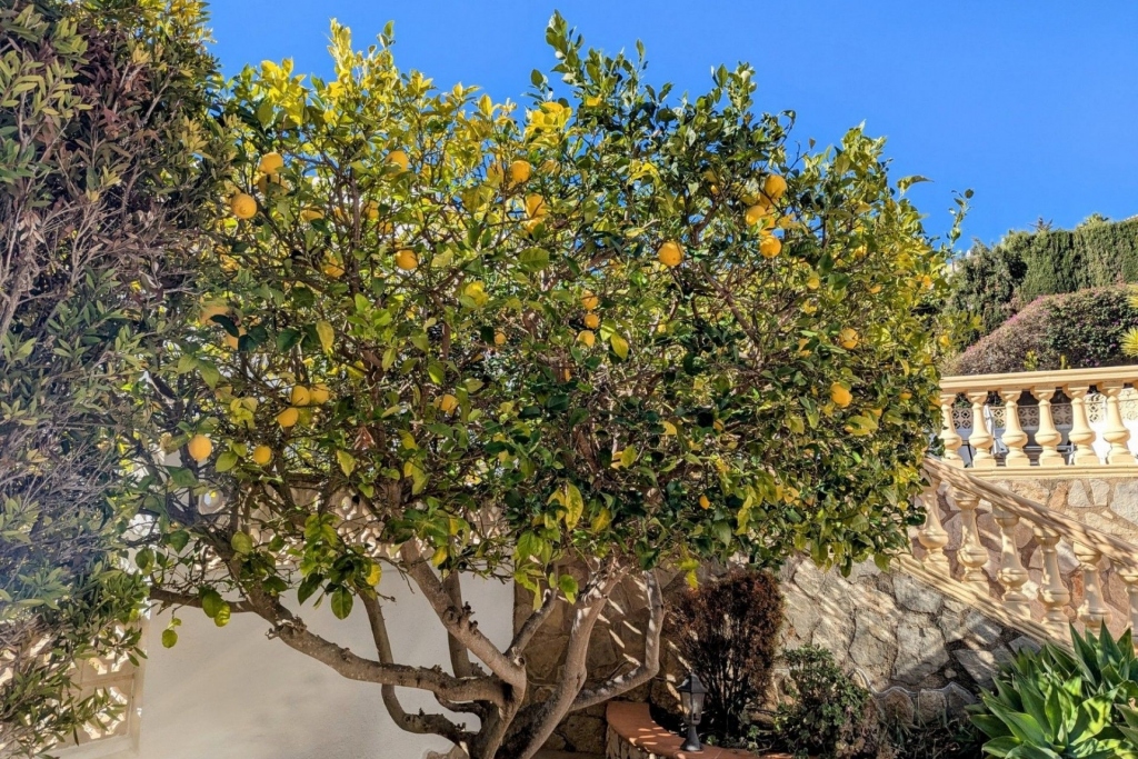 4 bed casa / chalet in Moraira