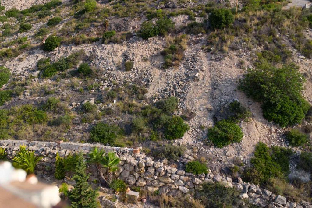 plot in Jalón