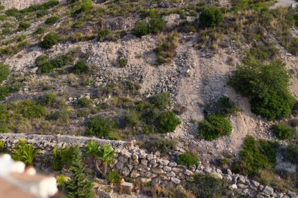 plot in Jalón