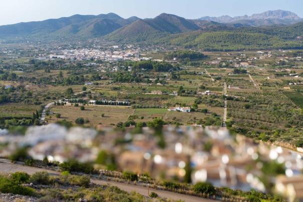 plot in Jalón