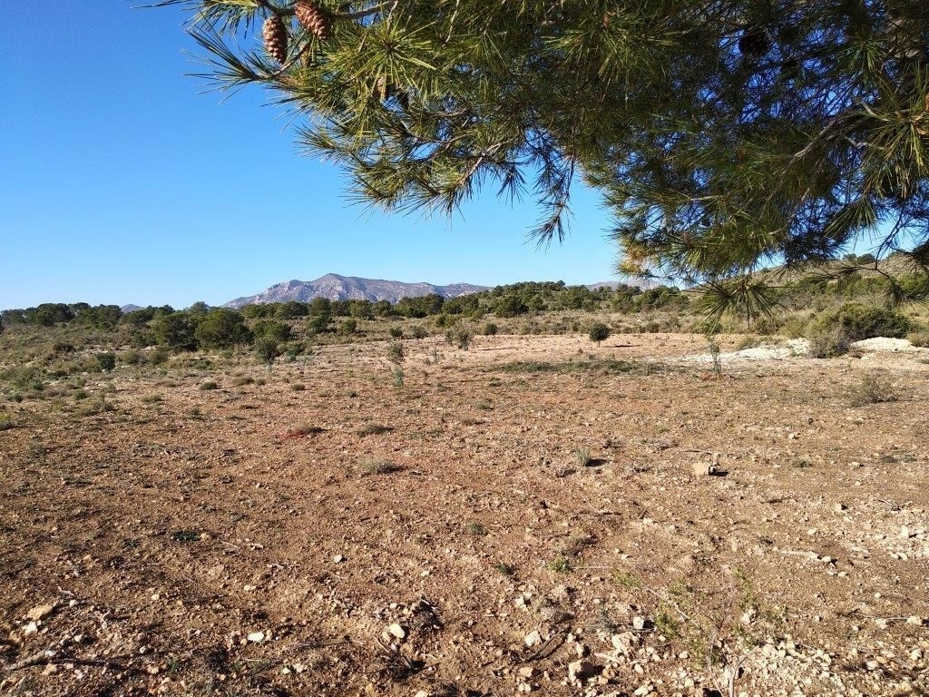 parcela in Relleu