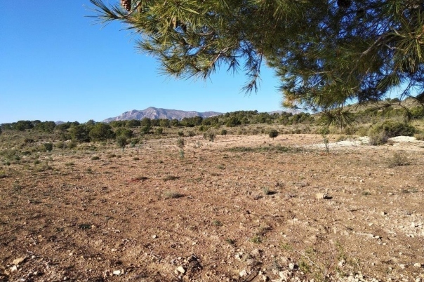 parcela in Relleu