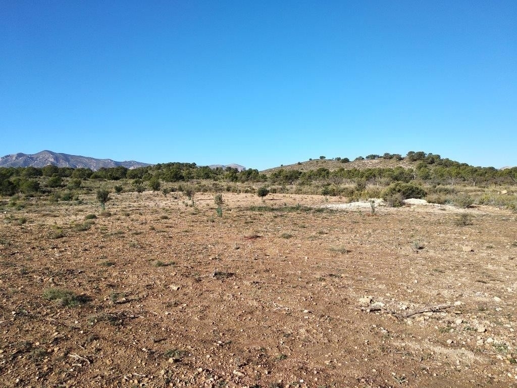 parcela in Relleu
