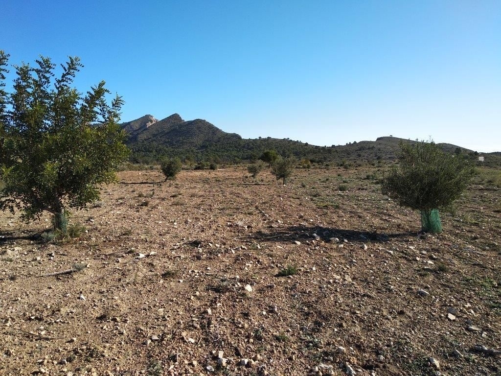 parcela in Relleu