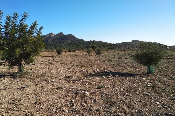 parcela in Relleu