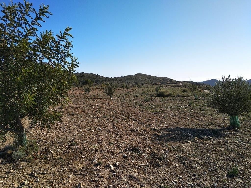 parcela in Relleu