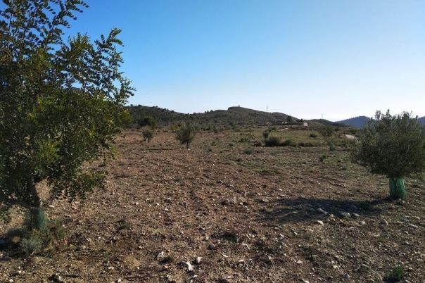 parcela in Relleu