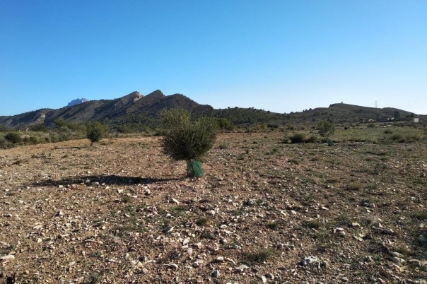 parcela in Relleu