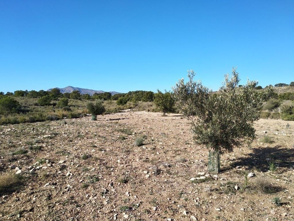 parcela in Relleu