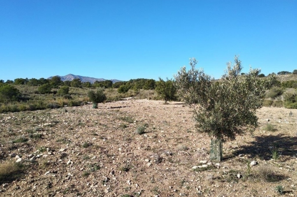 parcela in Relleu
