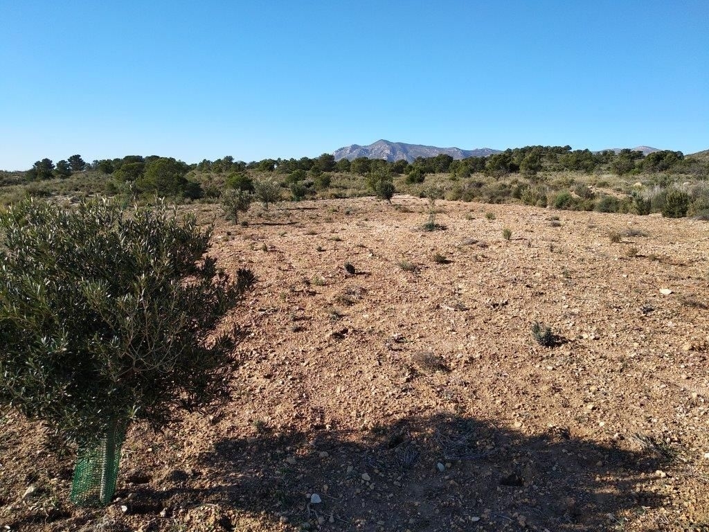 parcela in Relleu