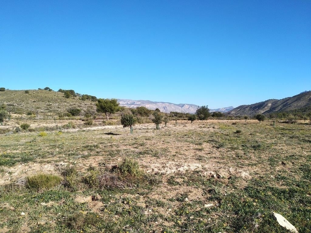 parcela in Relleu
