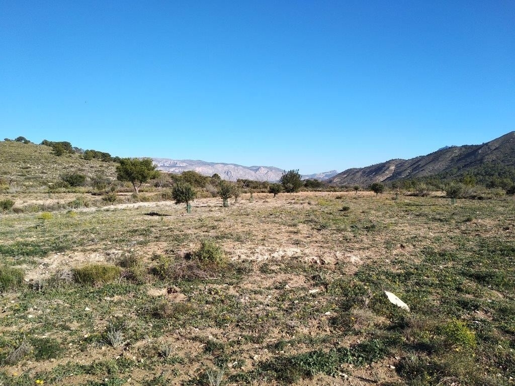 parcela in Relleu