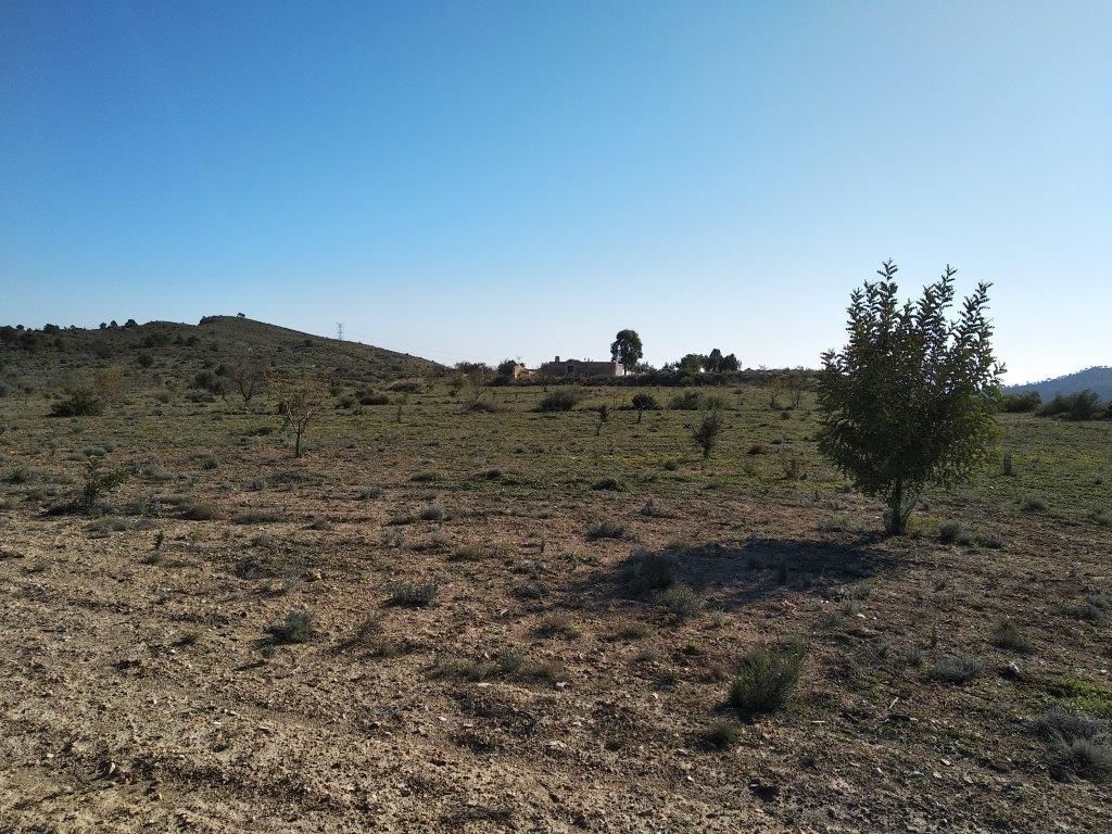 parcela in Relleu