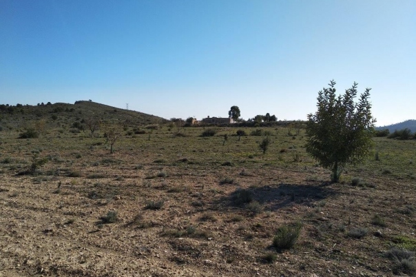 parcela in Relleu