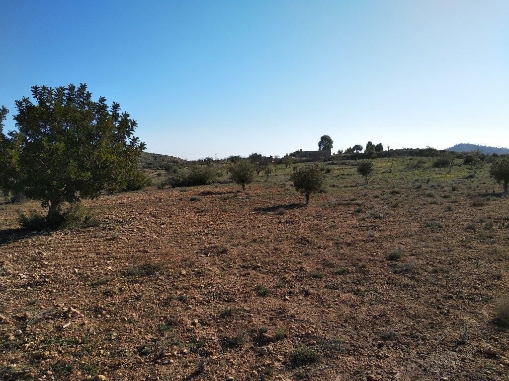 parcela in Relleu