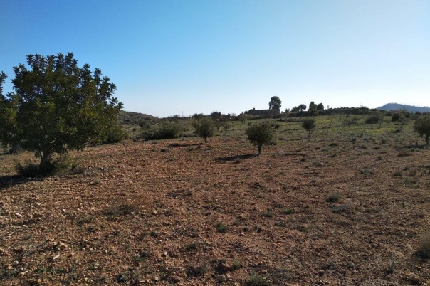 parcela in Relleu