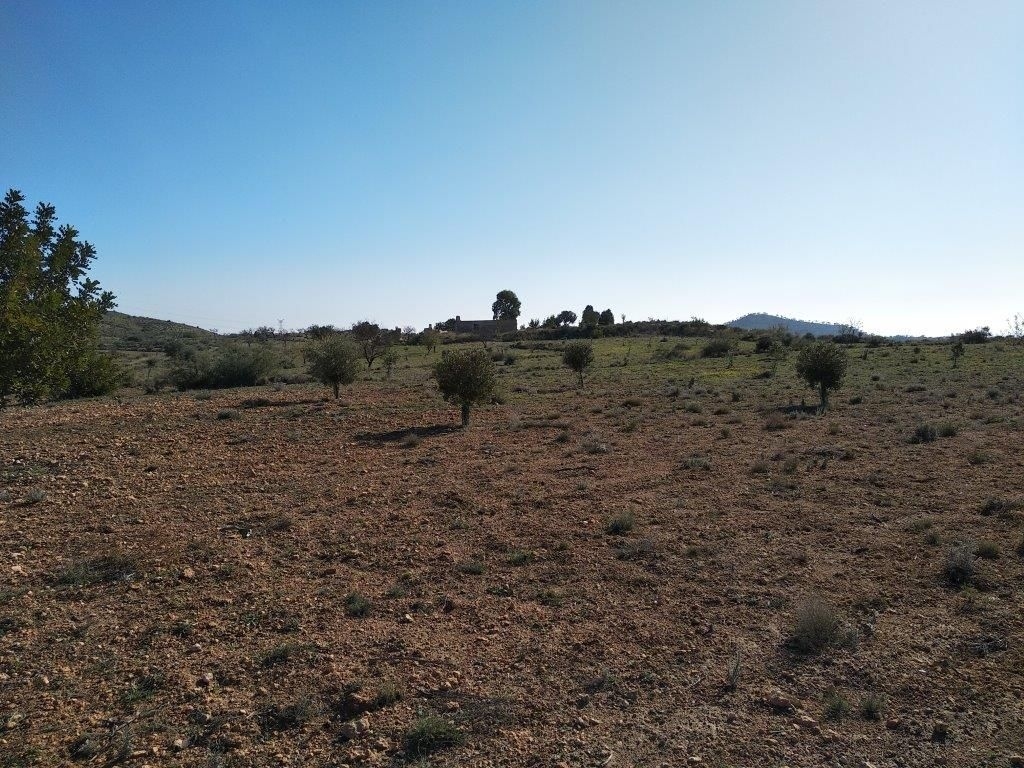 parcela in Relleu