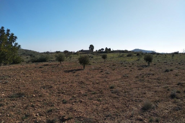 parcela in Relleu