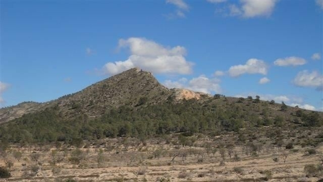 parcela in Relleu