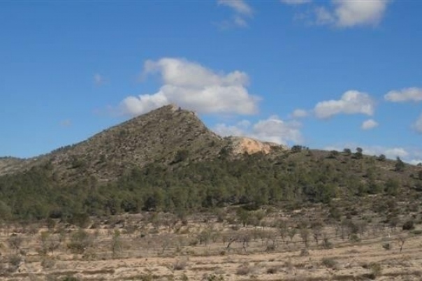 parcela in Relleu