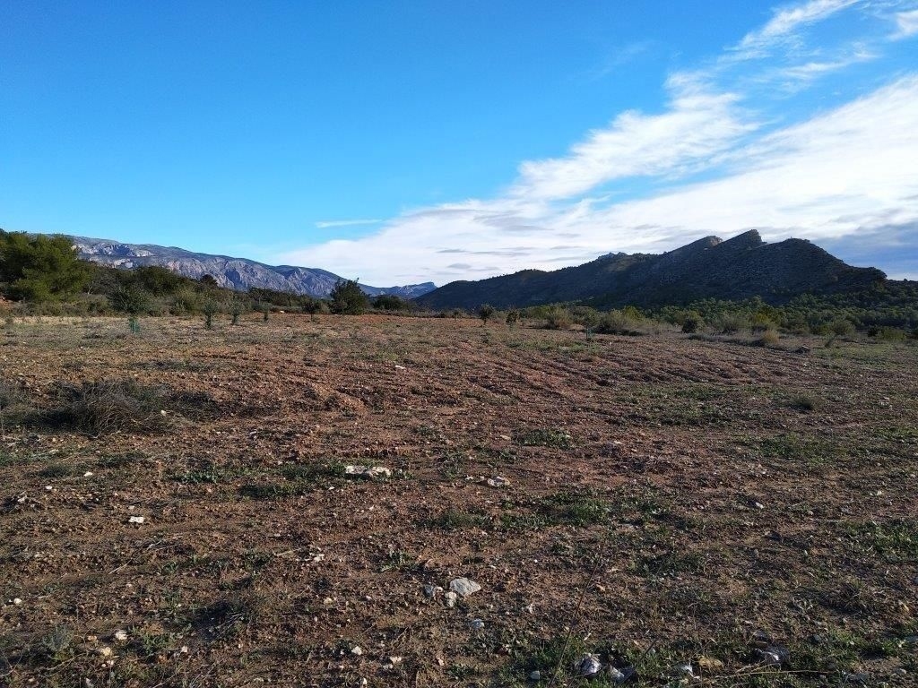 parcela in Relleu