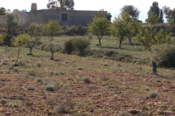 parcela in Relleu