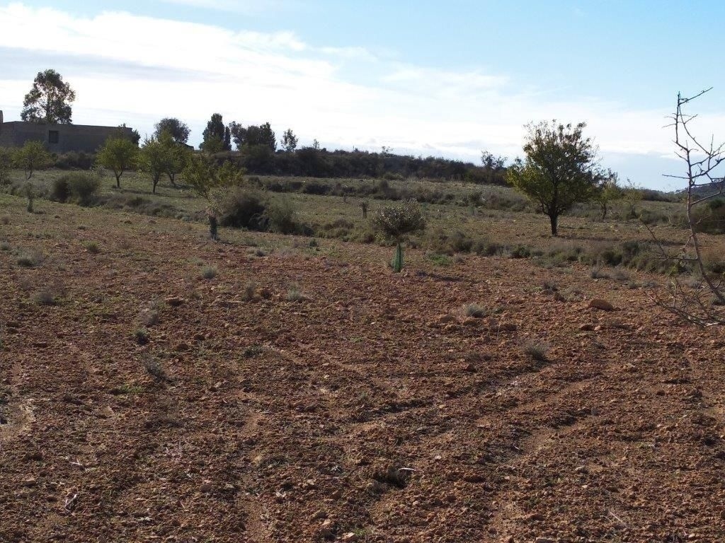 parcela in Relleu