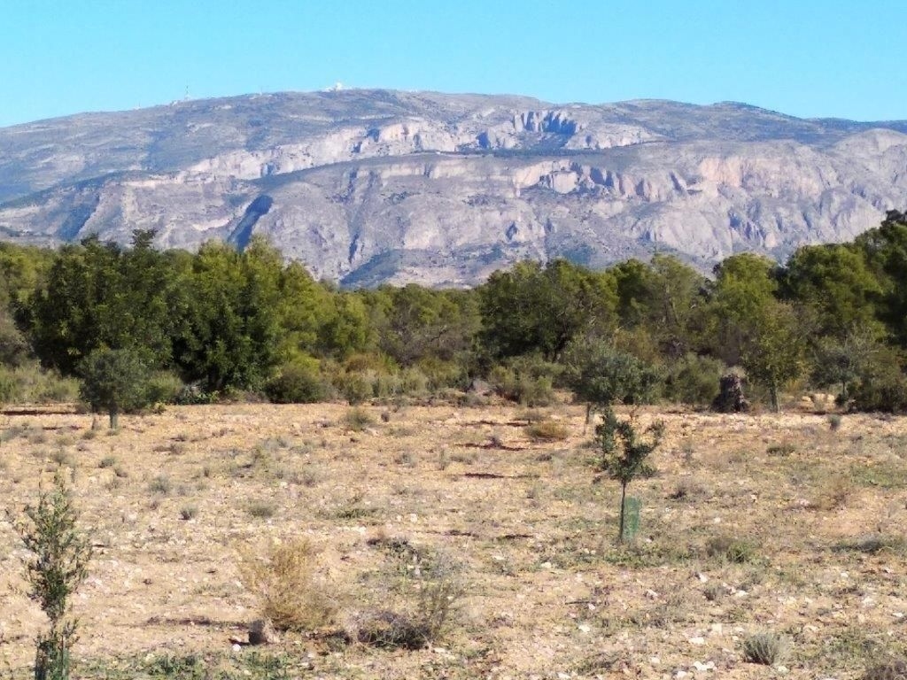 parcela in Relleu