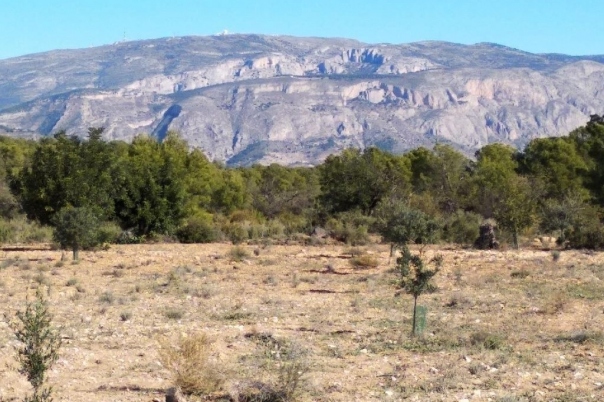 parcela in Relleu