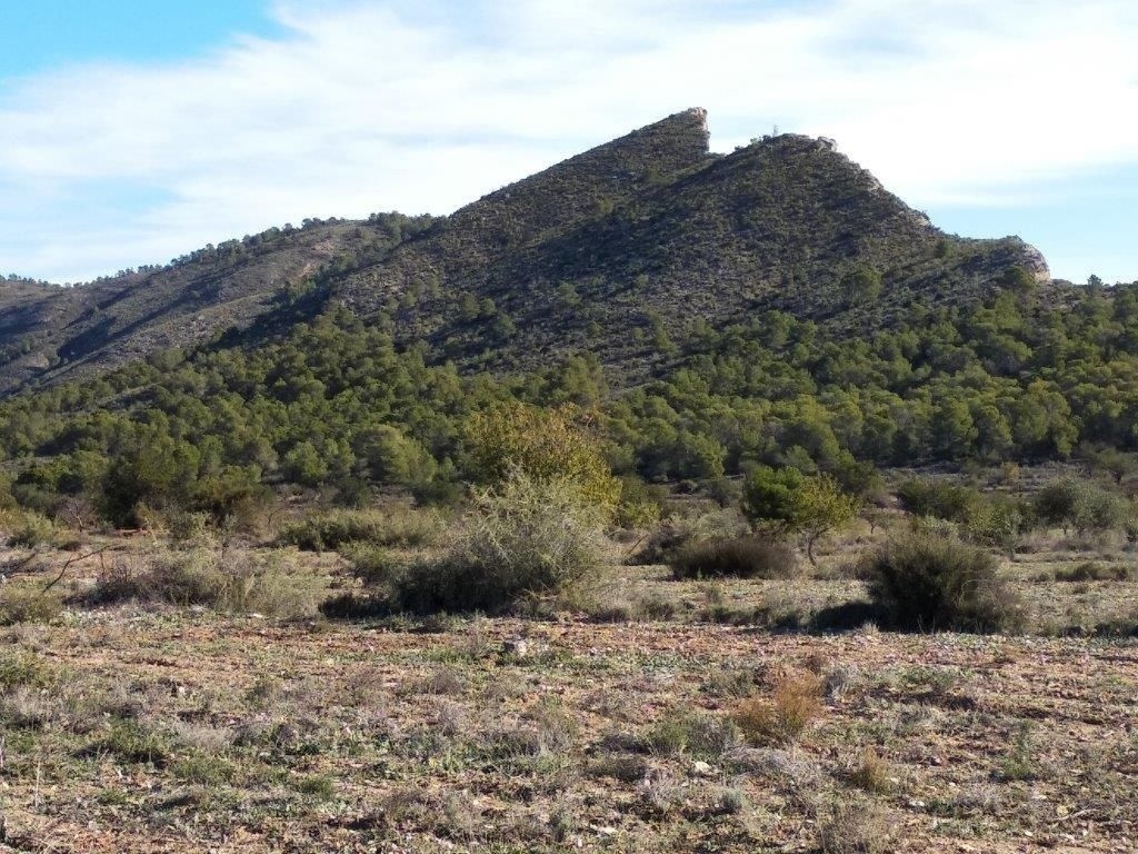 parcela in Relleu
