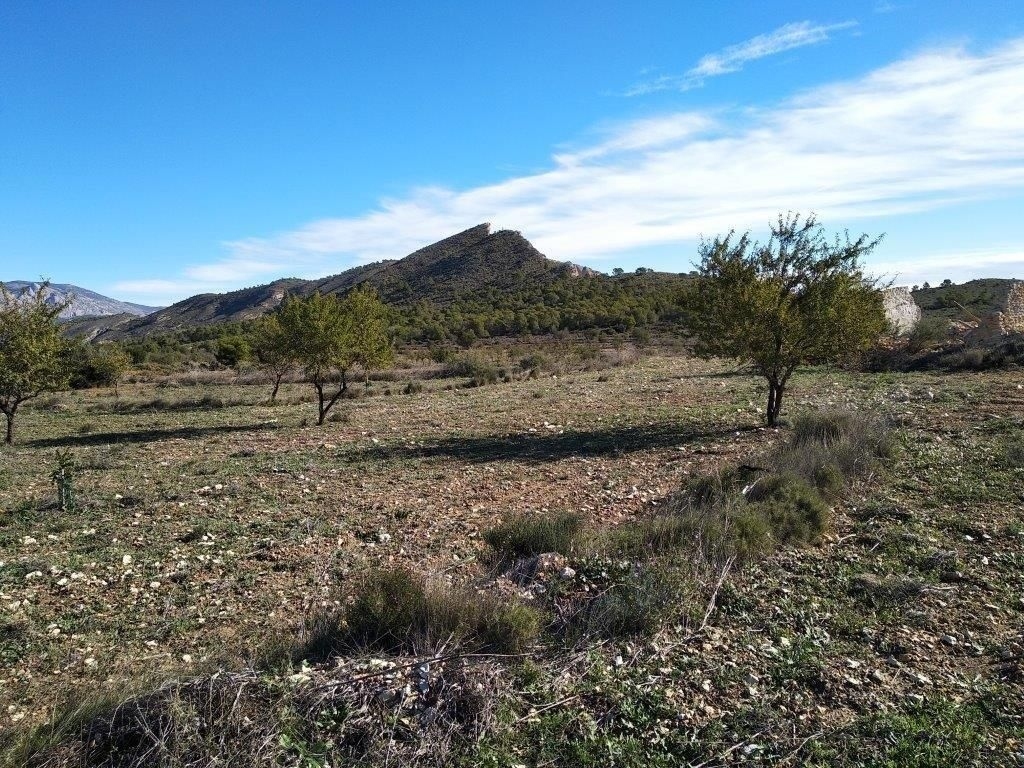parcela in Relleu