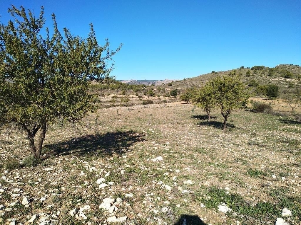 parcela in Relleu