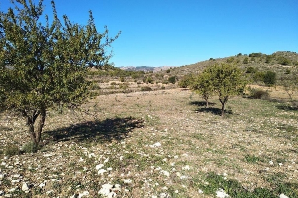 parcela in Relleu