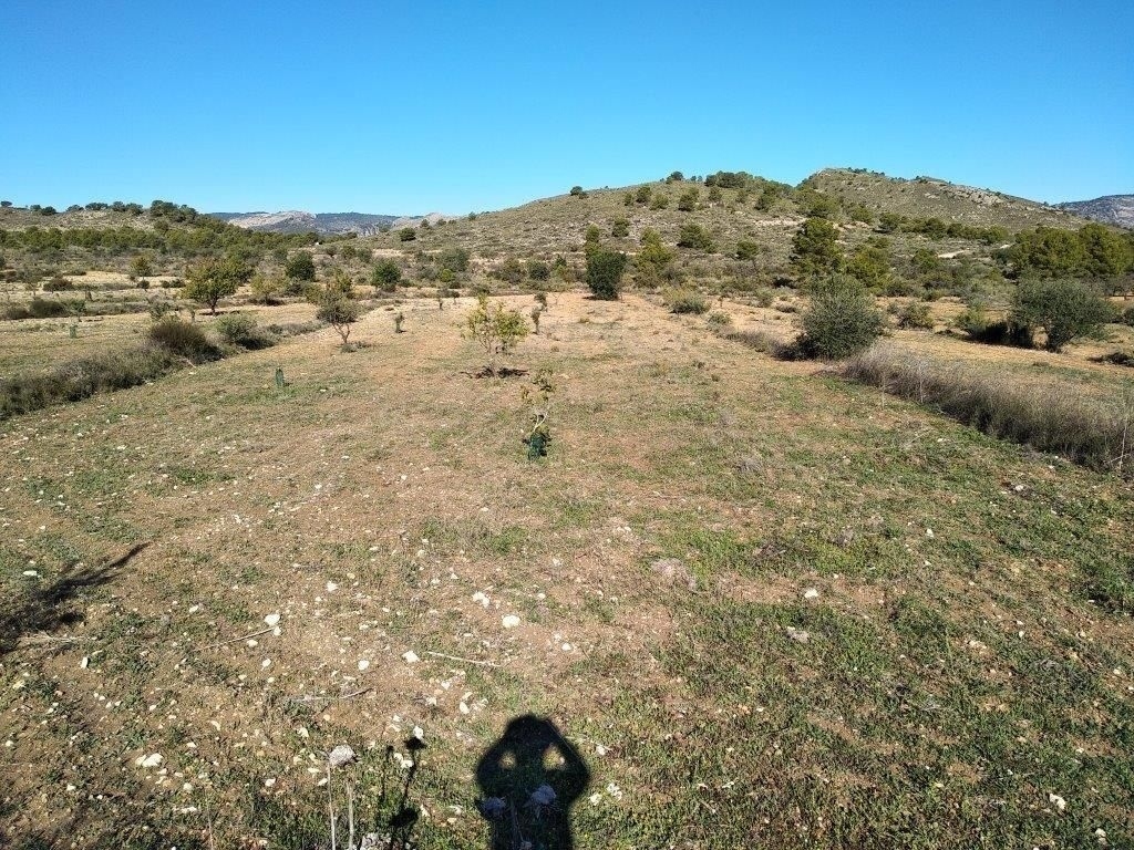 parcela in Relleu