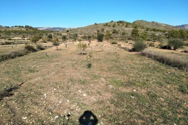 parcela in Relleu