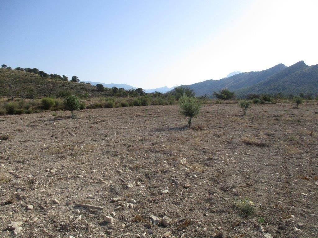 parcela in Relleu