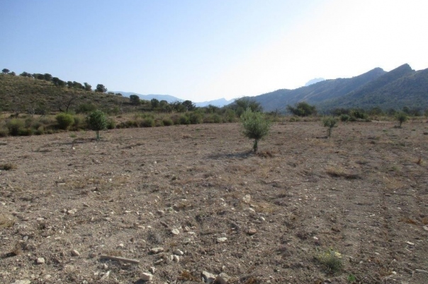 parcela in Relleu