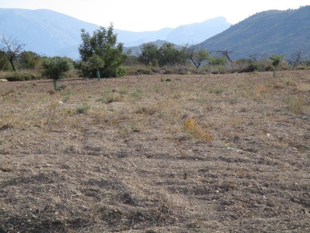 parcela in Relleu